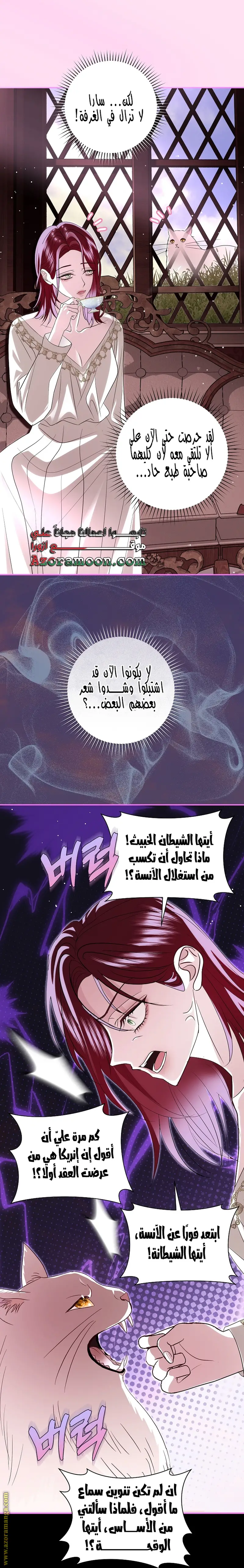 الصفحة 22