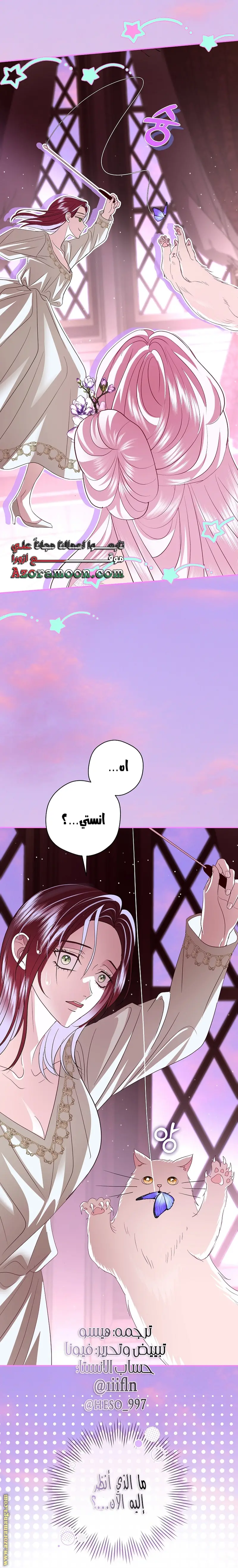 الصفحة 24
