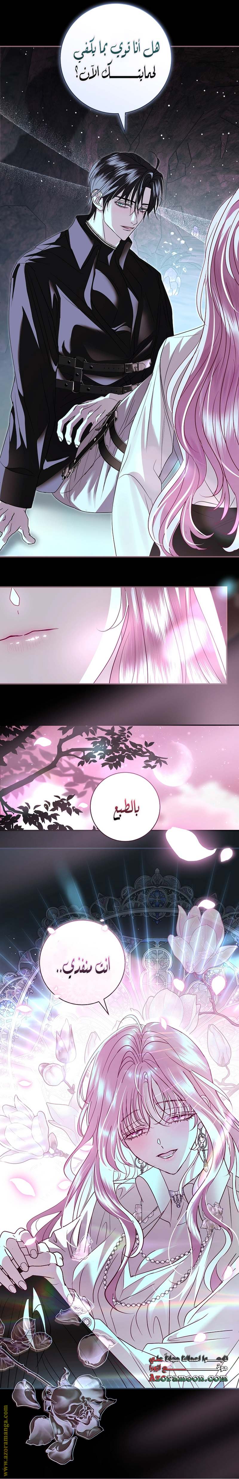 الصفحة 19