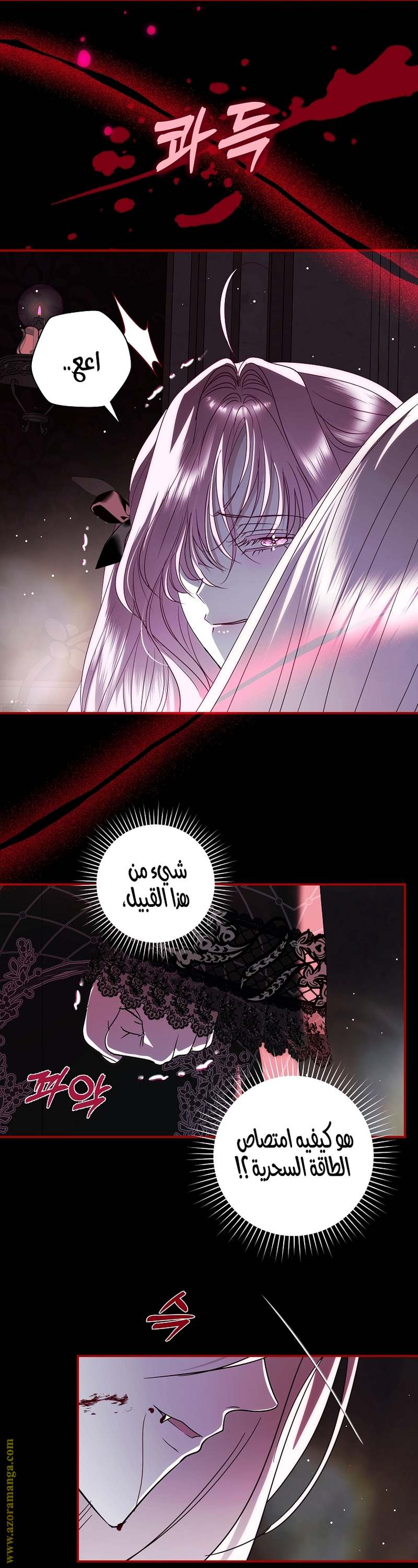 الصفحة 13
