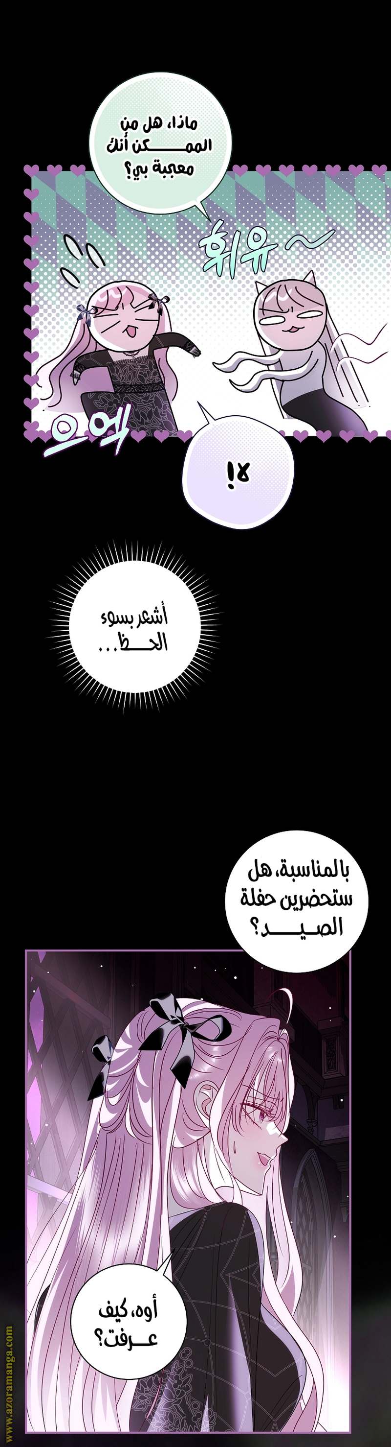 الصفحة 17