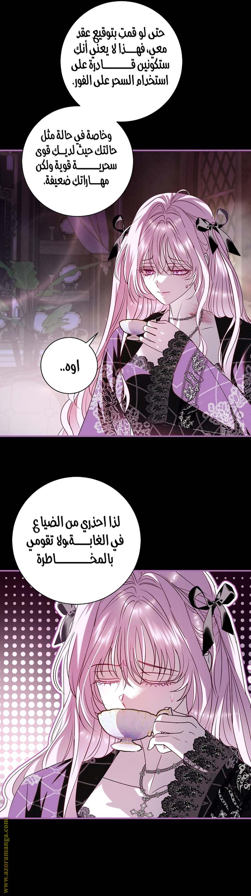 الصفحة 19