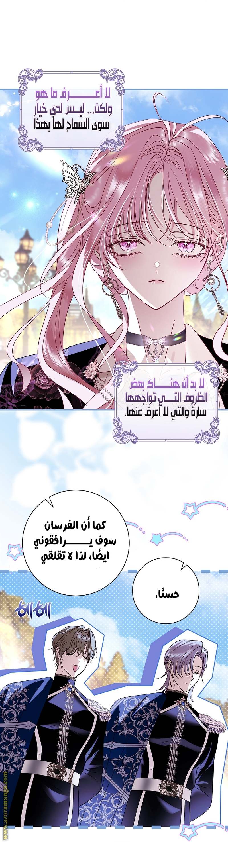الصفحة 26