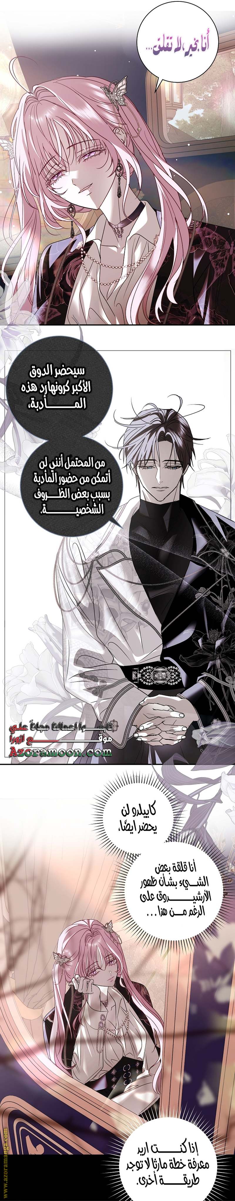 الصفحة 29