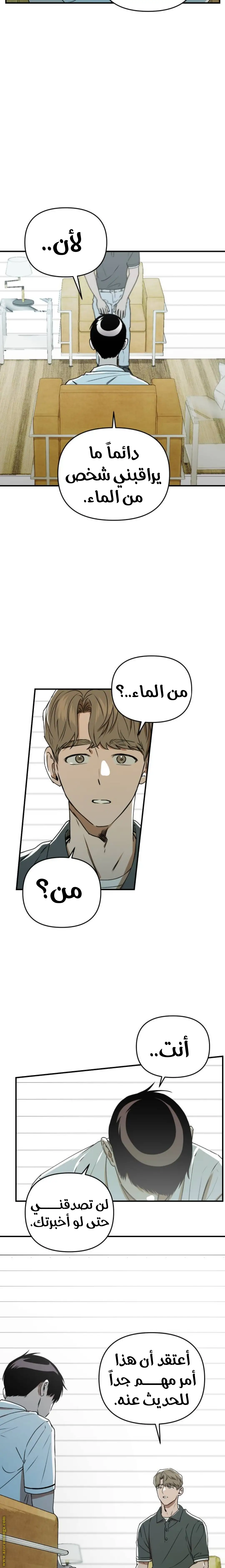 الصفحة 17