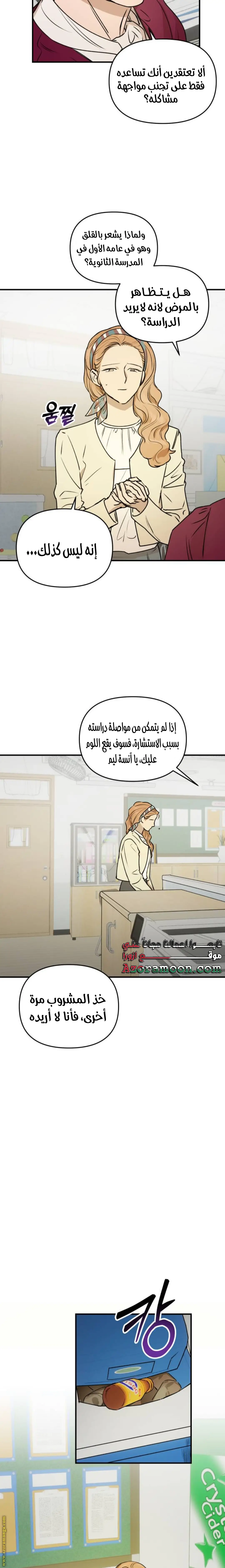 الصفحة 17
