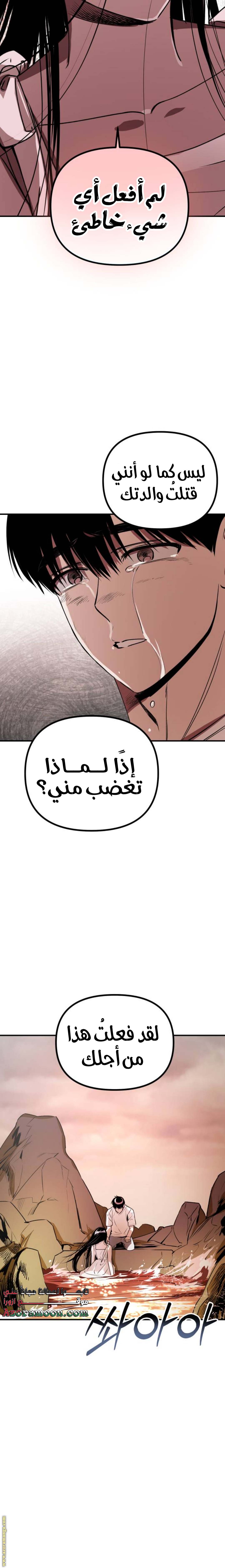 الصفحة 13