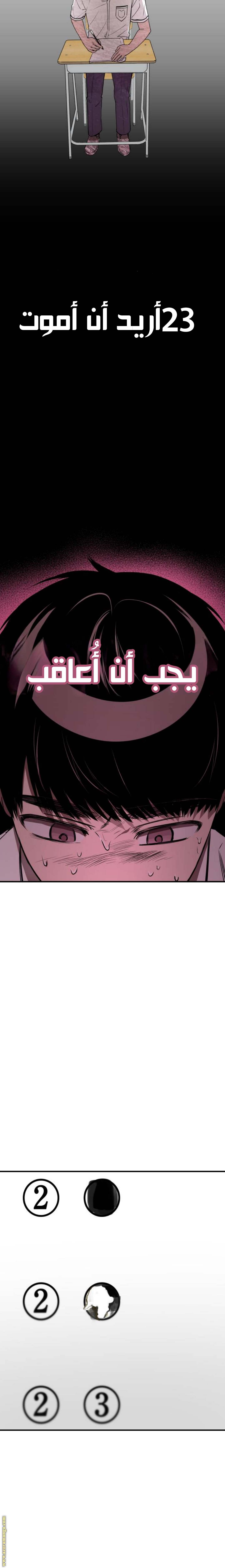 الصفحة 17