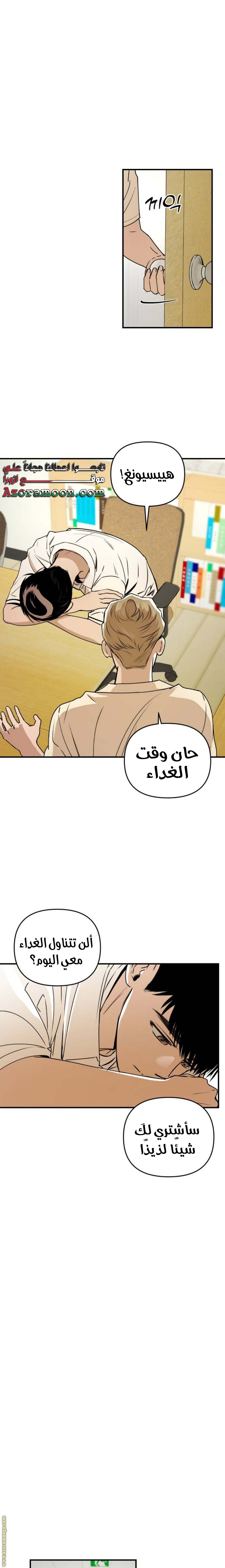 الصفحة 19