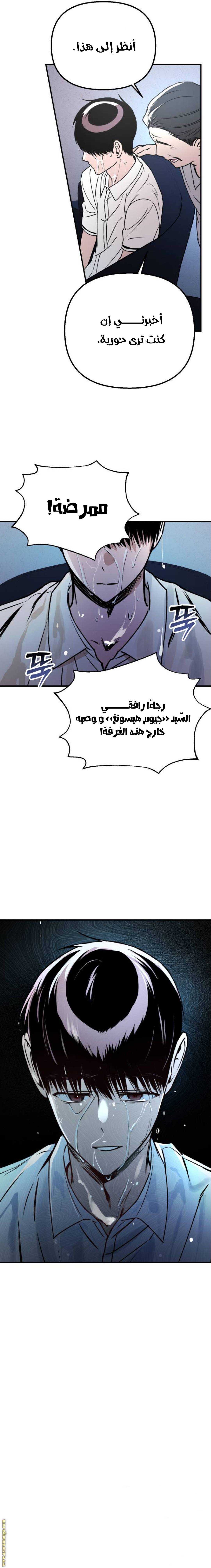 الصفحة 10