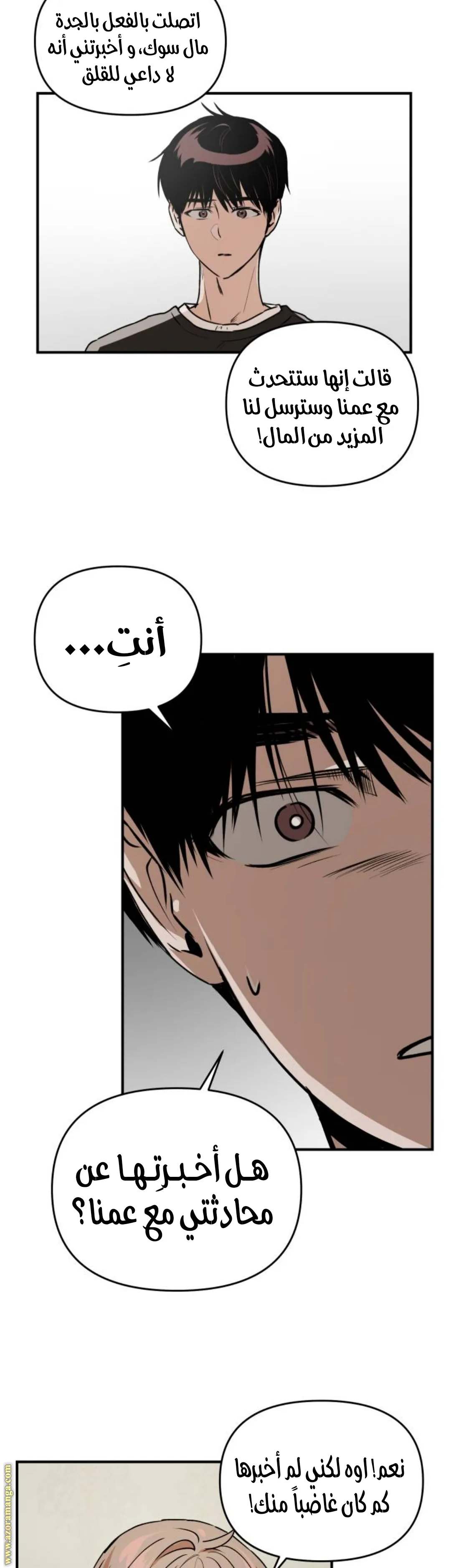 الصفحة 17