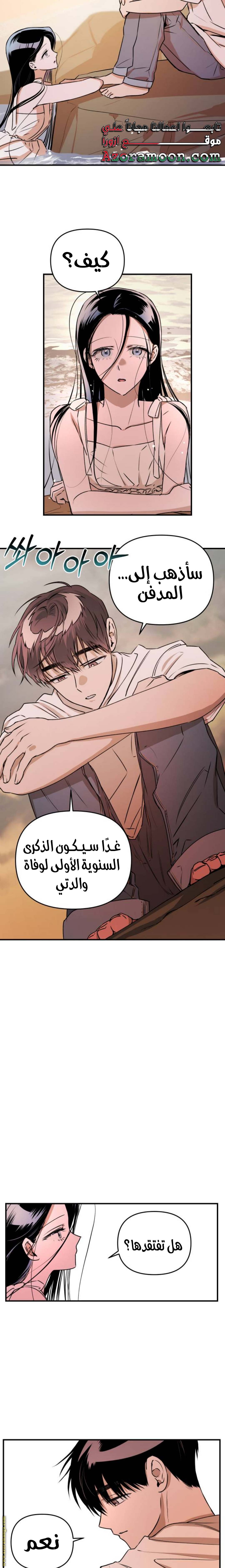 الصفحة 17