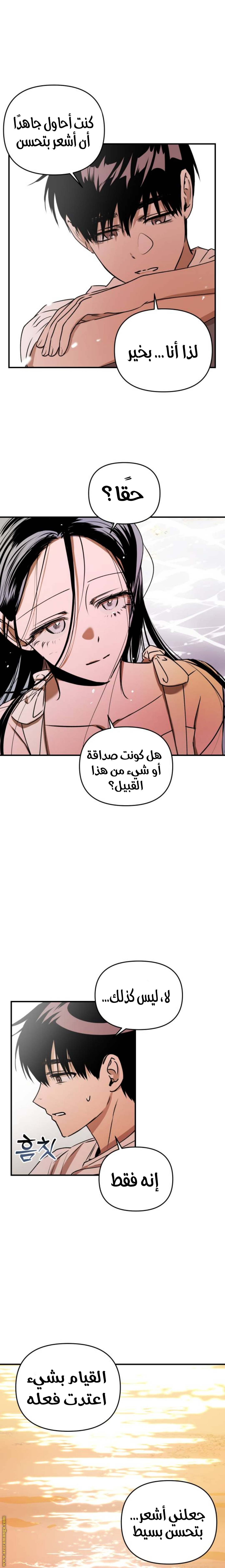 الصفحة 19