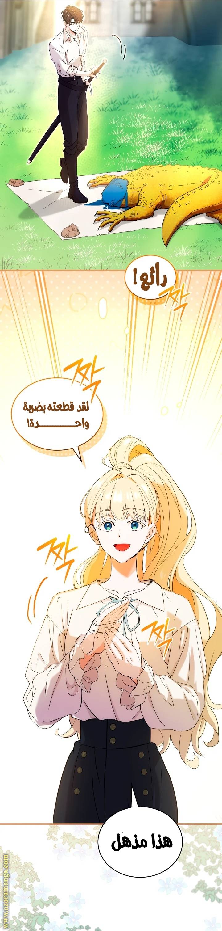 الصفحة 28