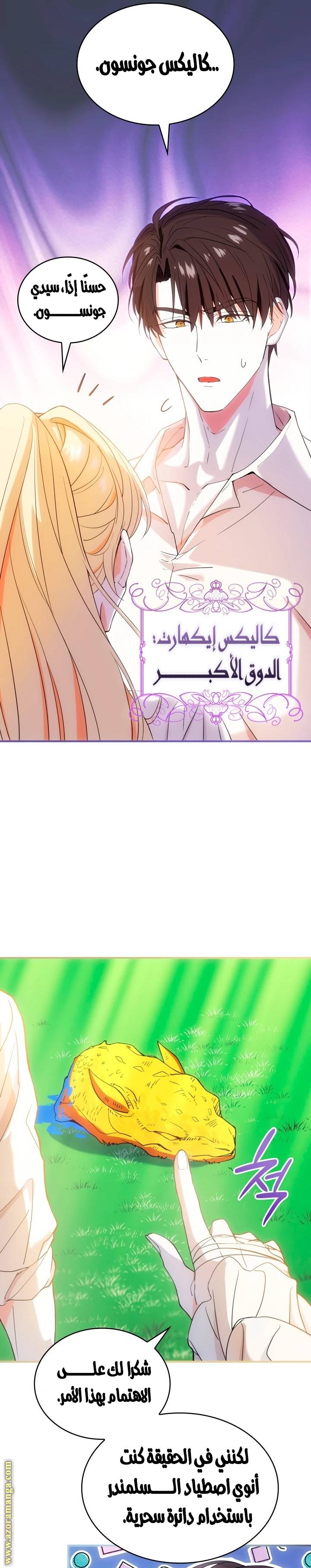 الصفحة 38