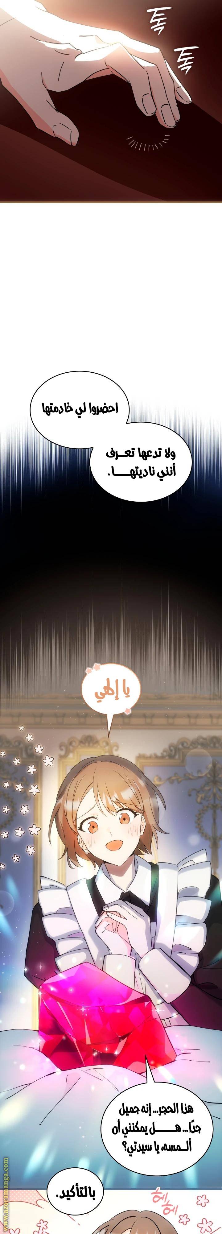 الصفحة 13