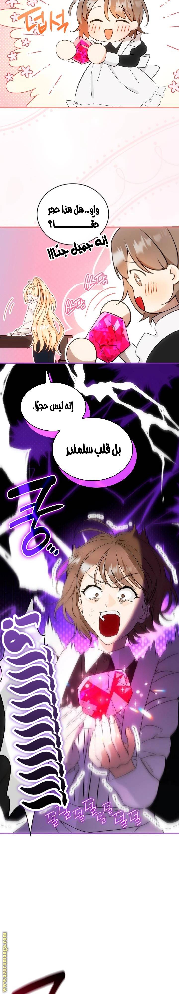 الصفحة 14