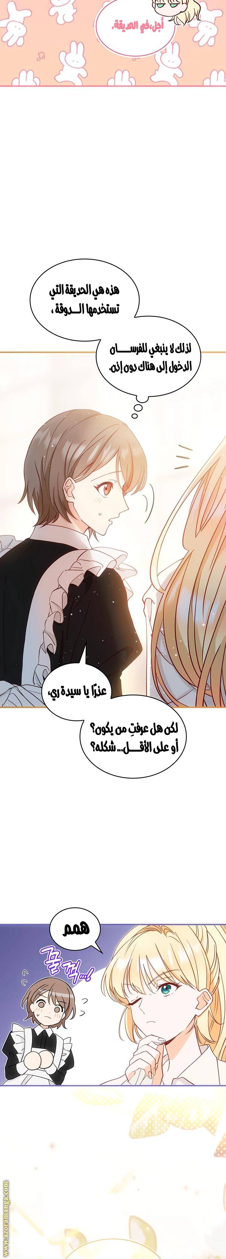 الصفحة 19