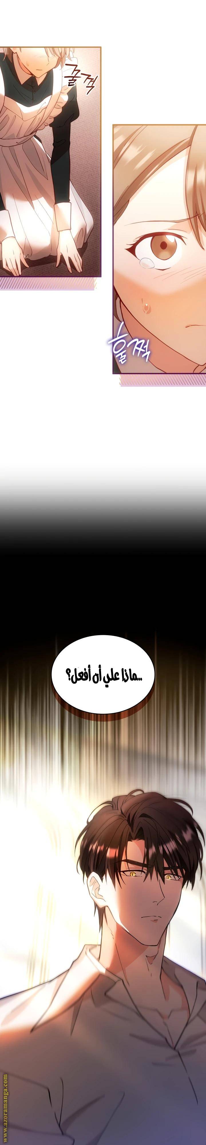 الصفحة 13