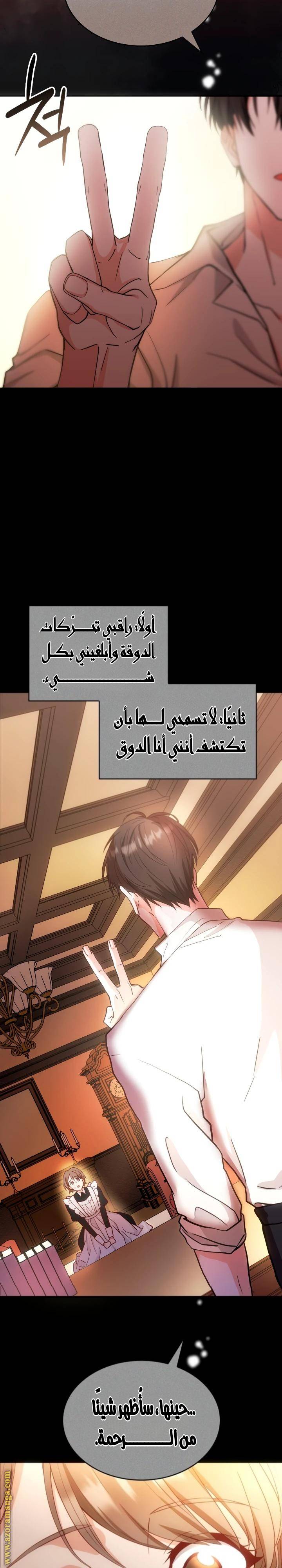 الصفحة 17