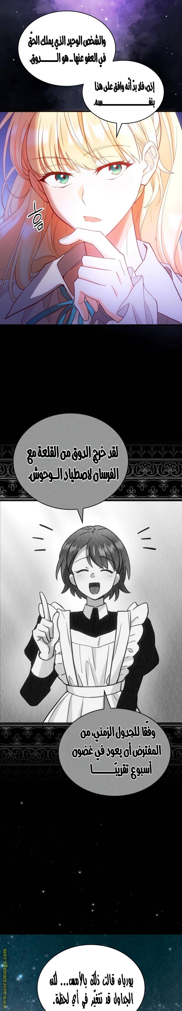الصفحة 25