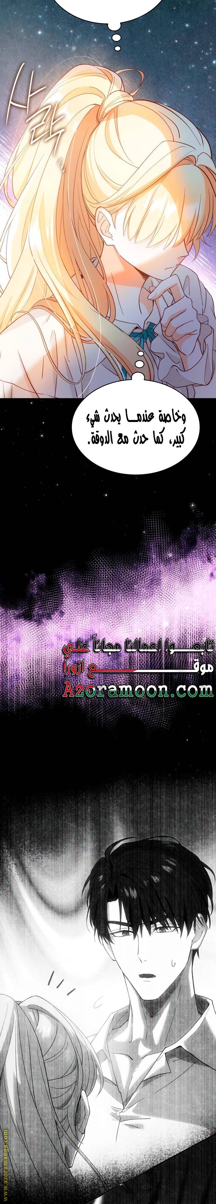 الصفحة 26