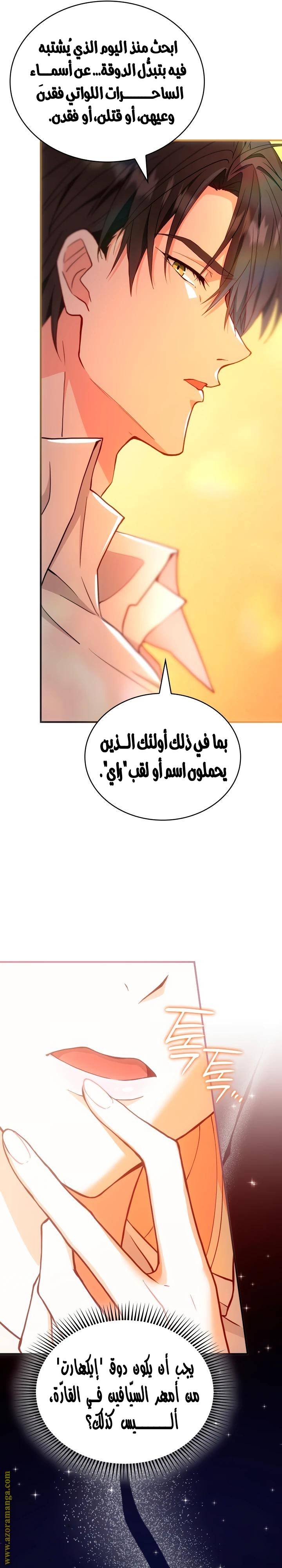 الصفحة 29