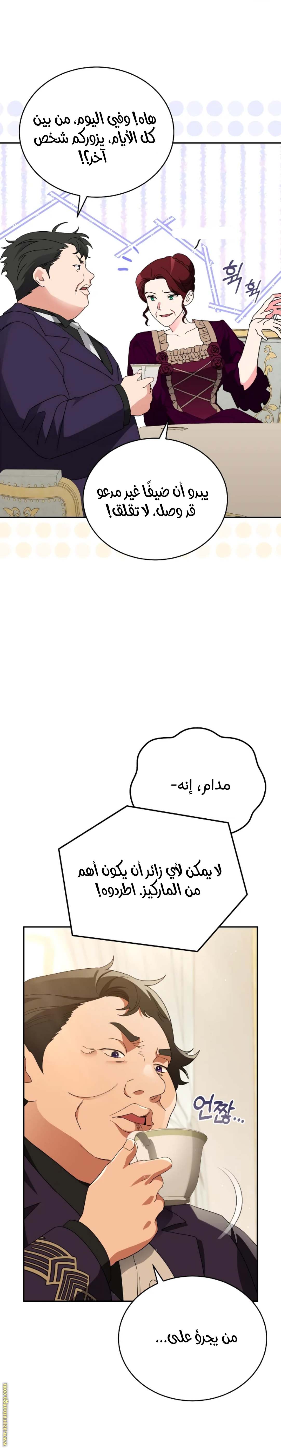 الصفحة 28