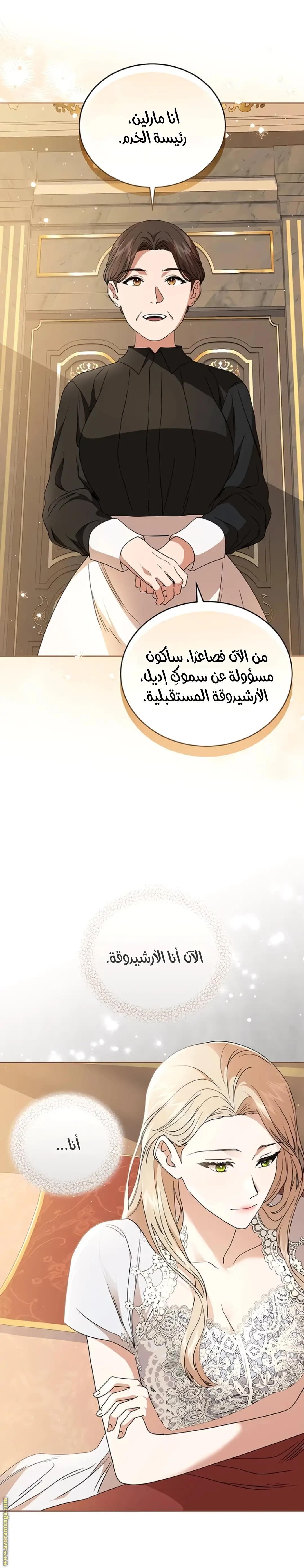 الصفحة 17