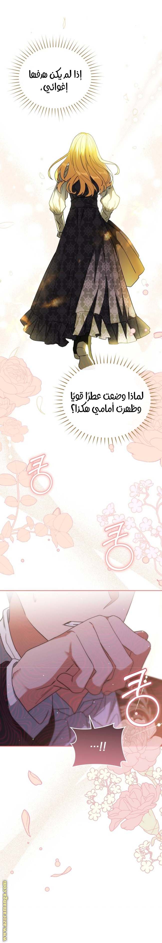 الصفحة 17