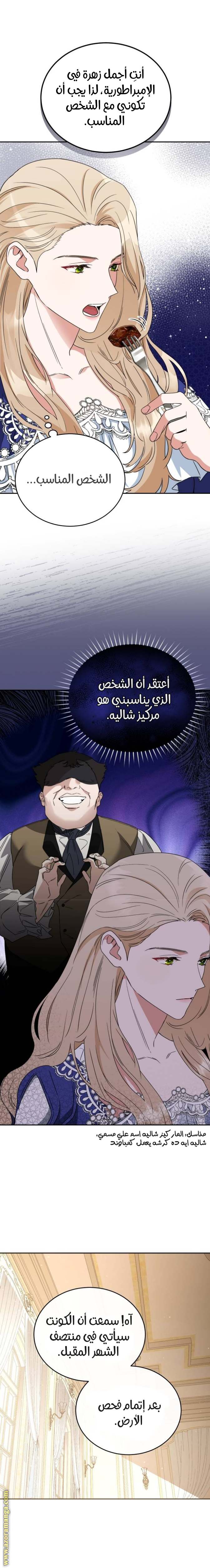 الصفحة 13