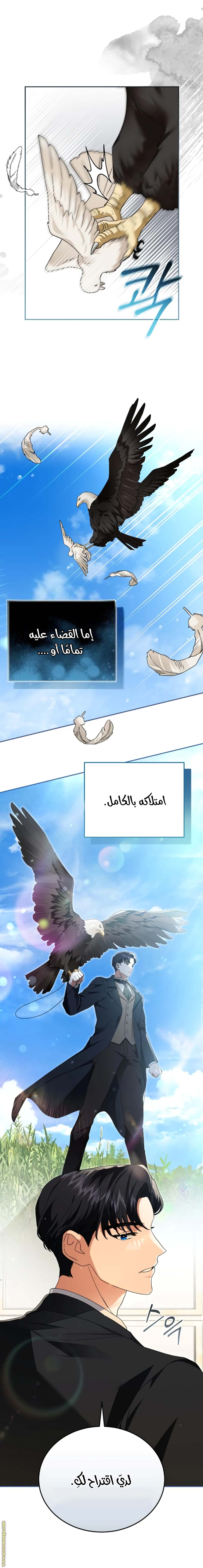الصفحة 24
