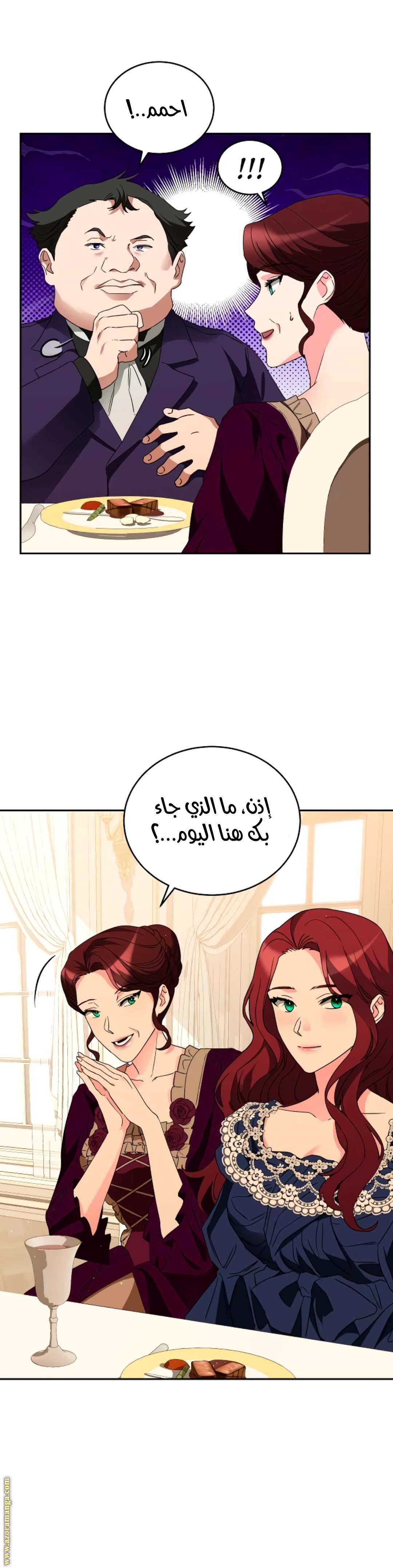 الصفحة 27
