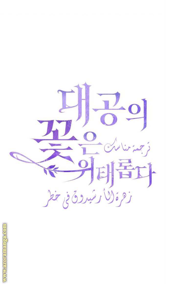 الصفحة 31