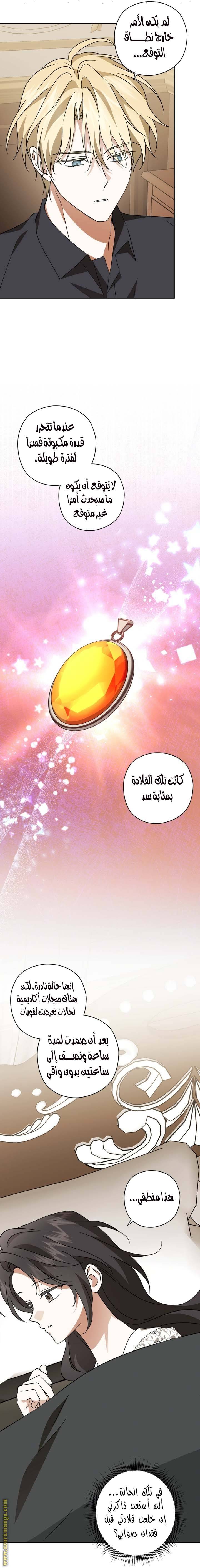 الصفحة 17