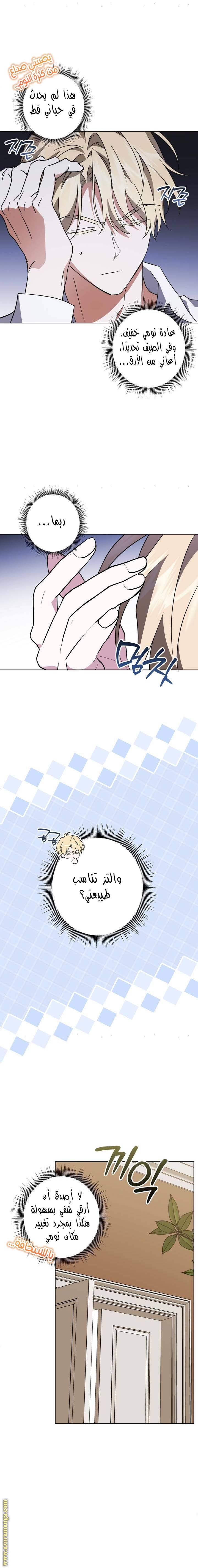 الصفحة 15