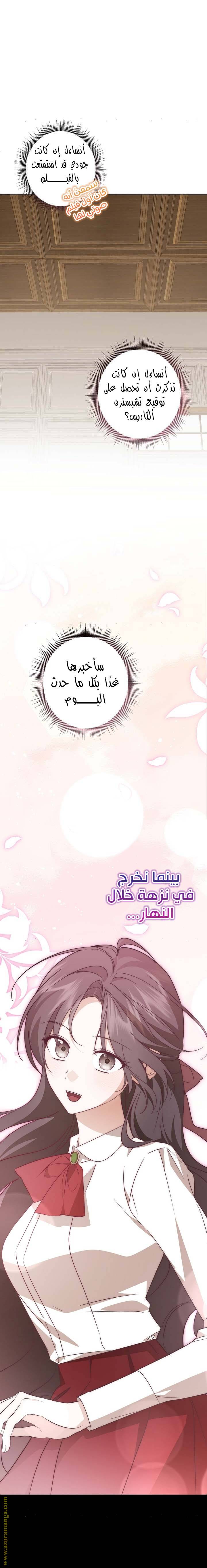 الصفحة 17
