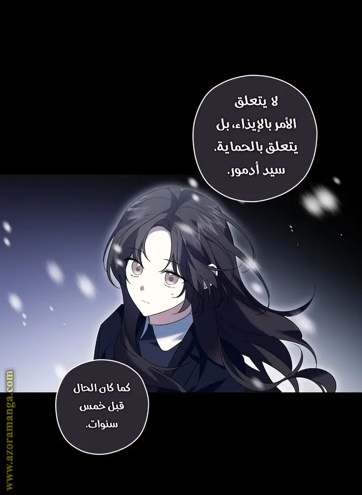 الصفحة 17
