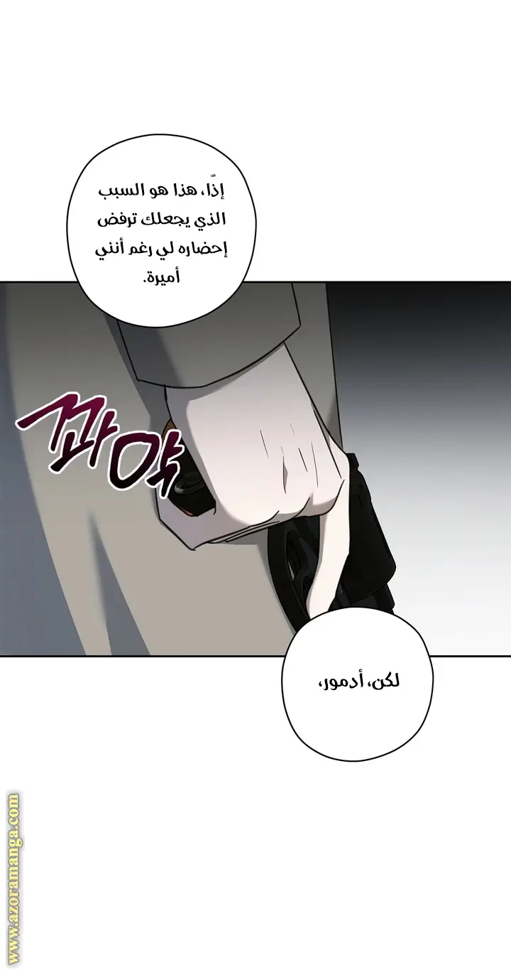 الصفحة 39
