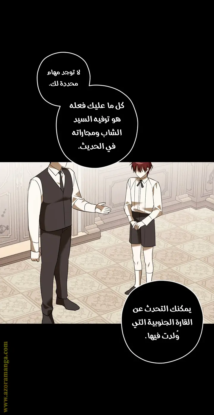 الصفحة 41
