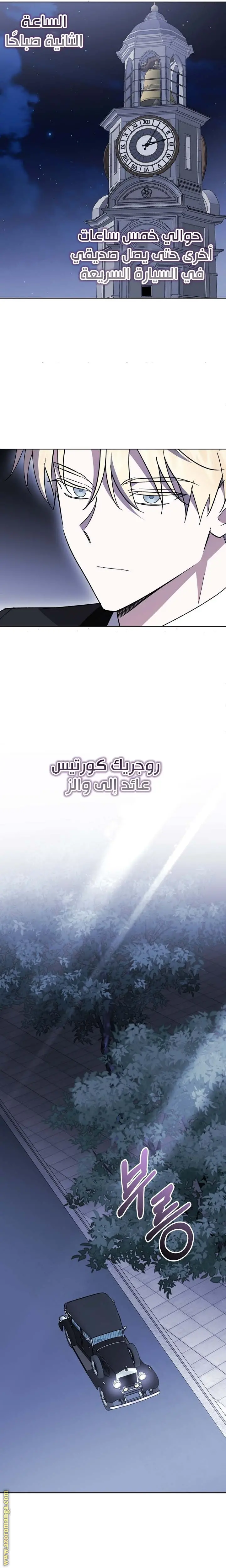 الصفحة 17