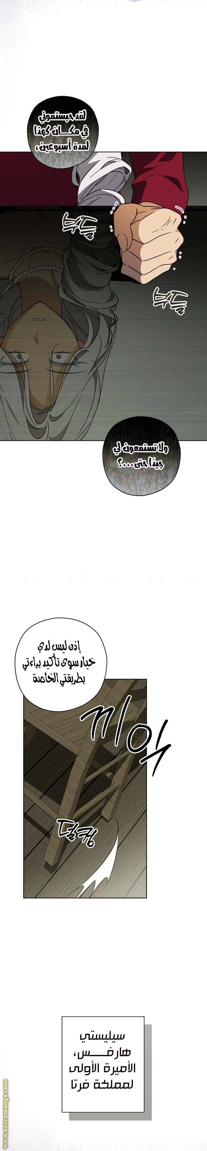 الصفحة 11