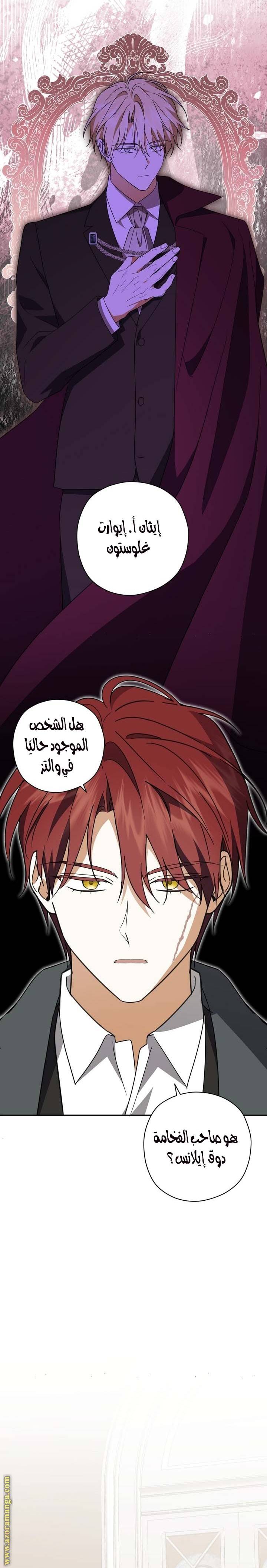 الصفحة 17