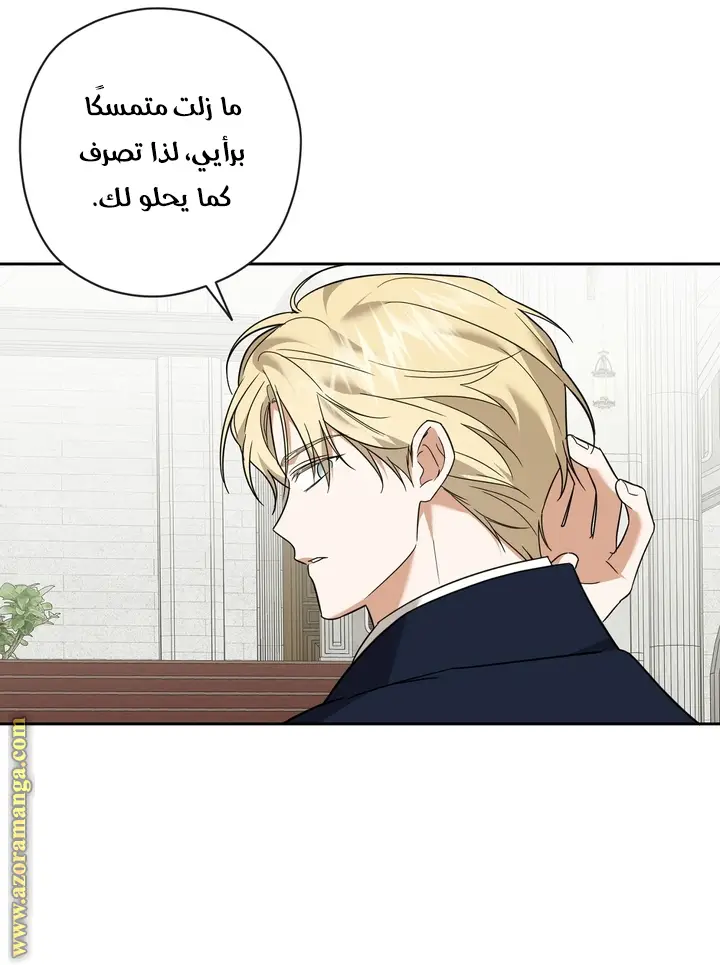 الصفحة 17