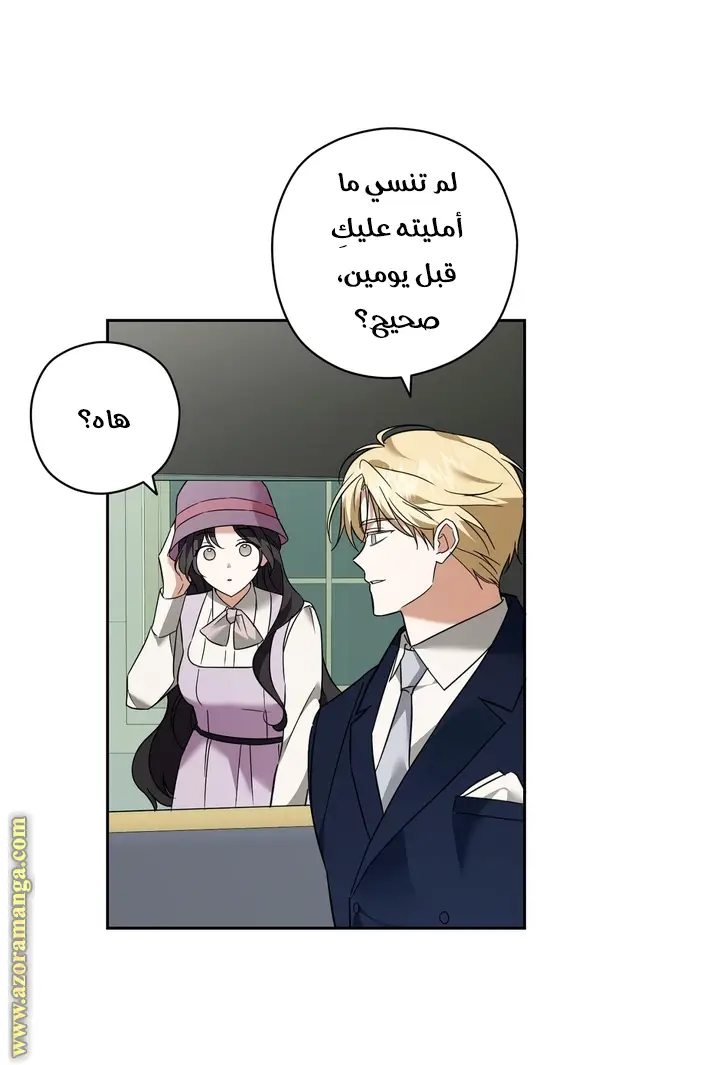 الصفحة 29