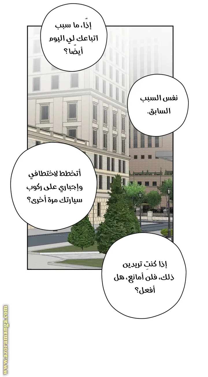 الصفحة 41