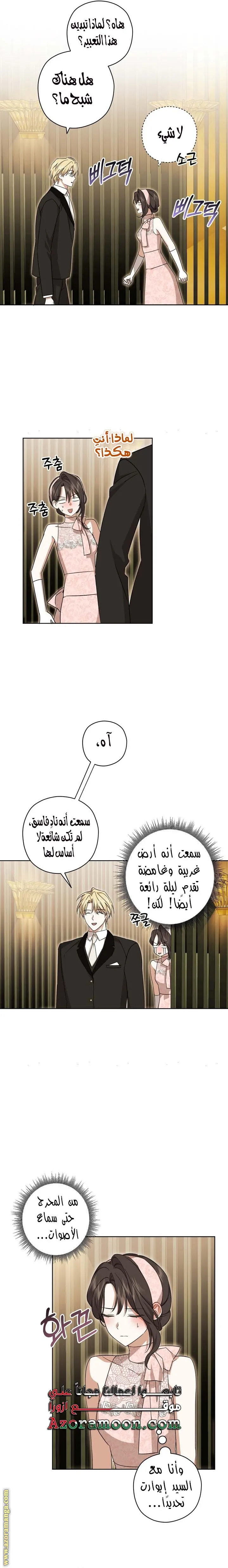 الصفحة 17