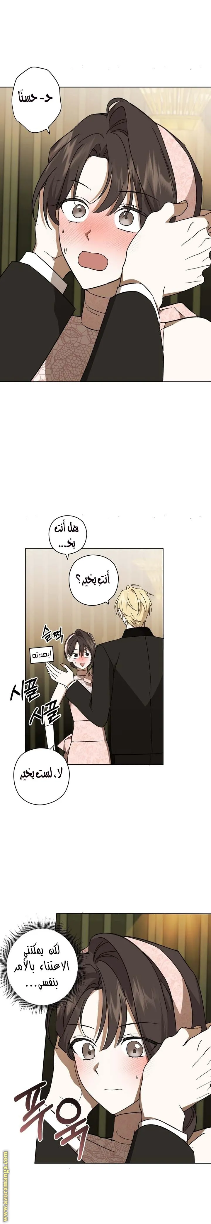 الصفحة 19