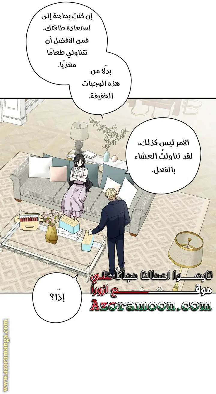 الصفحة 29