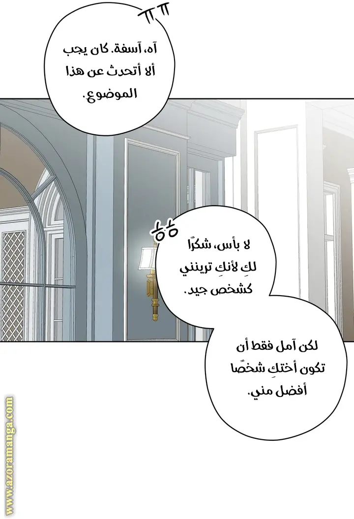 الصفحة 41